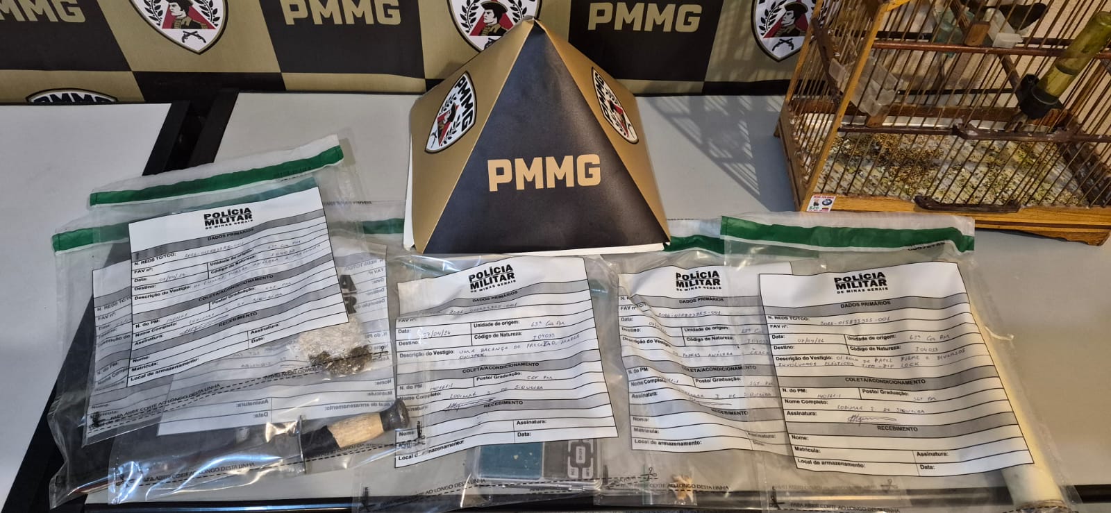 PM apreende drogas e pássaro da fauna silvestre no Bairro Córrego do Ouro em Santos Dumont